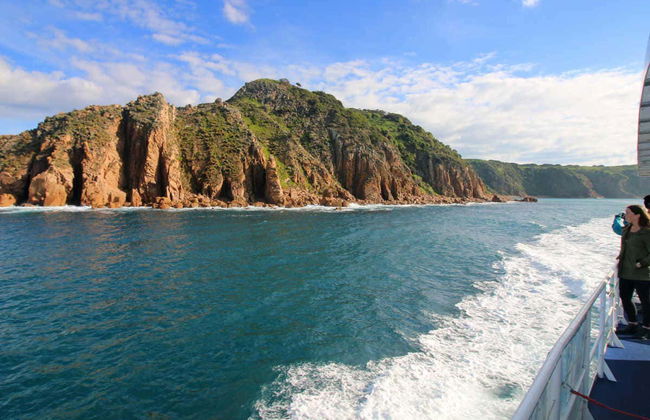 Paseo en barco por la Isla Phillip - Foto 6
