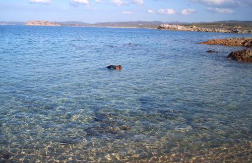 Casa Vacanze Paradiso - Foto 40