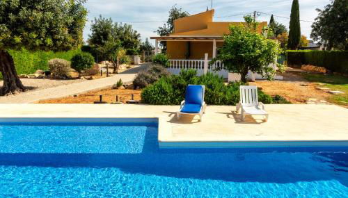 Holiday's Paradise - Photo 3