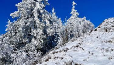 Regenbergblick - Foto 2