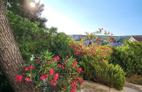 Nice Home In Splitska - Supetar - Photo 15