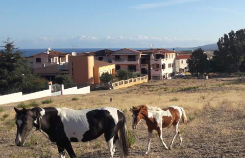 Casa Vacanze residence Cavour Attico - Foto 50