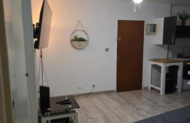 Coquet T 2 Le barcares Mer - Foto 43