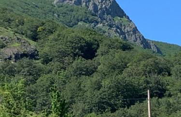 villa taro - Foto 29