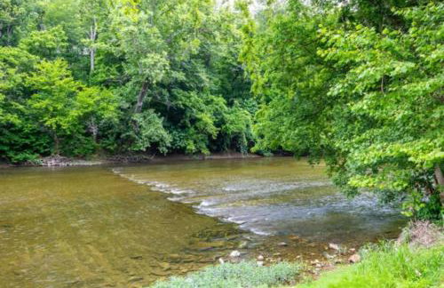 Riverfront Log Cabin Hot Tub, Mtn Views & Hottub - Foto 41