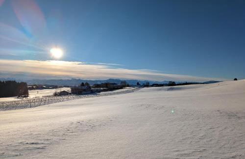 Ländliche Wohnung bei Buchenberg im Allgäu - Photo 50