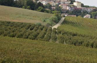 Le Magnolie - Foto 29