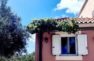 Olivo Apartment - Studio - Foto 18