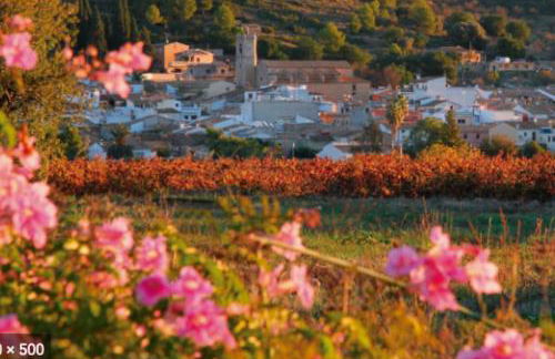 NUEVO Preciosa villa entre Denia y Javea - Foto 44