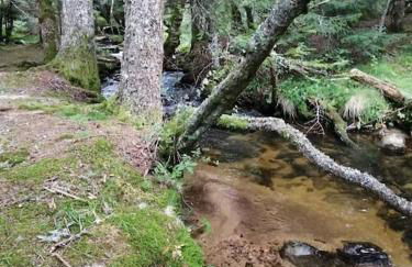 Le Chalet des Forêts Enchantées - Foto 61