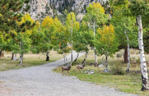 Close to Hot Springs Chalk Creek Meadows Home! - Photo 42