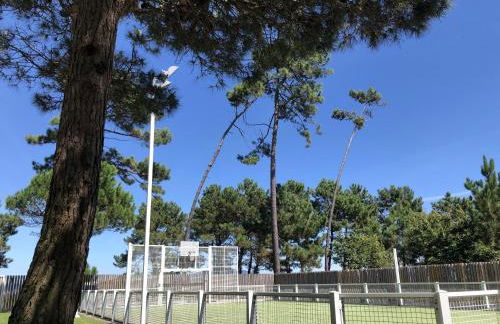 Morada Do Pablinho - Foto 22