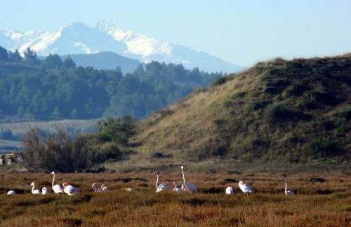gite de l'ille, avec terrasse et parking privé - Foto 12