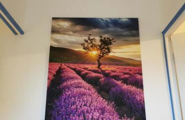 Mas de Férigoulet -"La Rose des Vents"& Univers enfants "Lou Pitchoun" - Foto 14