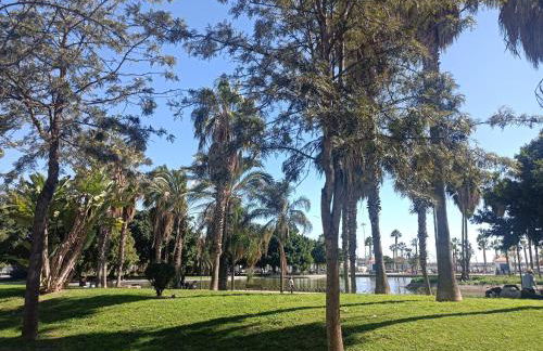 BAHIA DE MALAGA - Photo 43