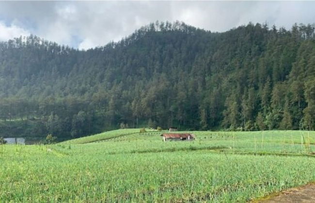 Villa Matahari Tawangmangu powered by Cocotel - Foto 15