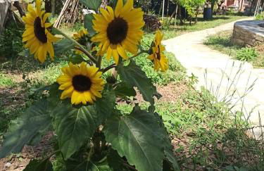 Glyfada Bay Studios - Foto 40