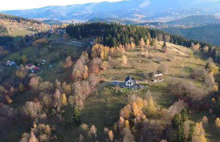 Surzynówka - Foto 49