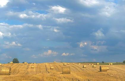 Jak Tu Ładnie - wyjątkowe miejsce z atrakcjami na rodzinny wypoczynek nad jeziorem, Mazury - Foto 45