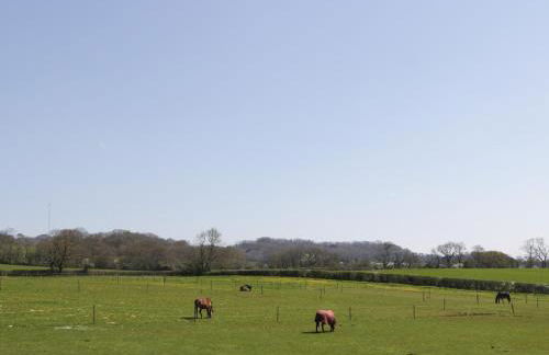 The Attic at Redmond Bottom - Photo 31