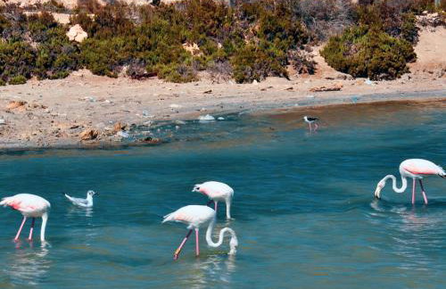 Casa del Rayo de Sol - Foto 26