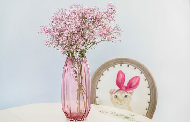 Jes&Vic Lucky Home - Foto 8