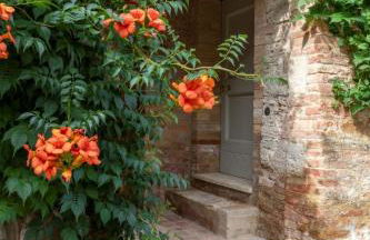 Agriturismo Borgo d'Asso - Foto 43