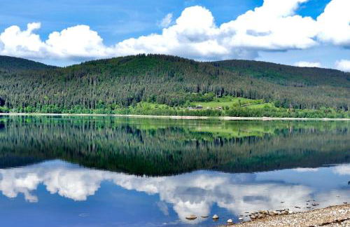 Haus Wiesenquelle - Fewo 10 "Uff'm Berg", Feldberg - Foto 21