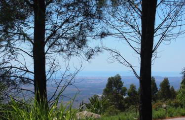 Quinta Da Relva - A traditional farmhouse in a stunning location - Foto 63