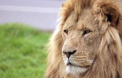 Georgian Country Cottage nr Babington House - Photo 34