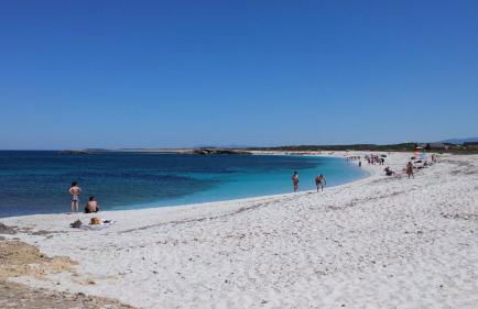 L'Araucaria Appartamento Suite Il Ginepro - Foto 31