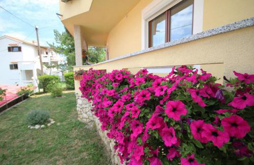 Apartments Sersic - Photo 6