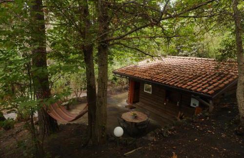 Etna Rural Cottage with Jacuzzi - Foto 1