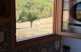 La roulotte de Jane - Foto 13