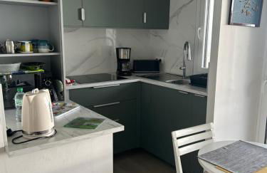 Concarneau face à la mer stationnement privatif - Photo 29