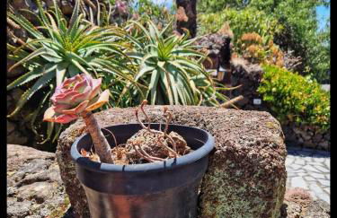 Casa Rural Faustina - Foto 28