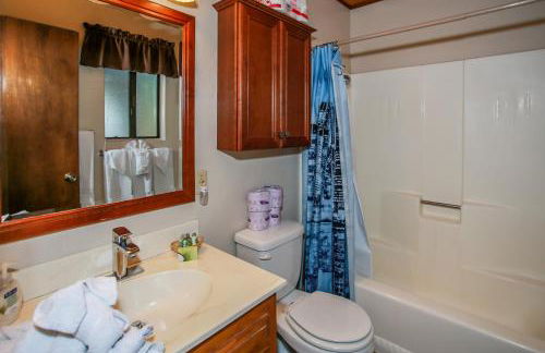 Cedar Pines - Mountain home in a tree filled neighborhood with WIFI - Foto 18