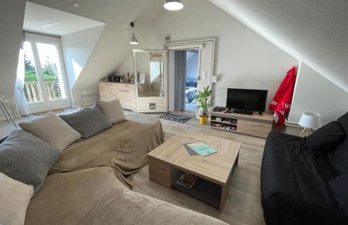 Le Clos des Trois Provinces, Zoo de Beauval - Foto 30