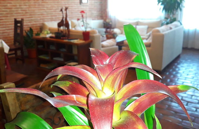 La Casa del Marqués - Foto 36