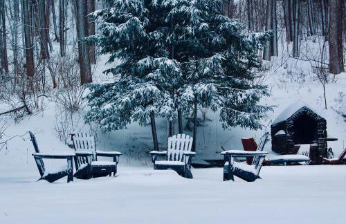 Pinetree Guesthouse - Foto 46