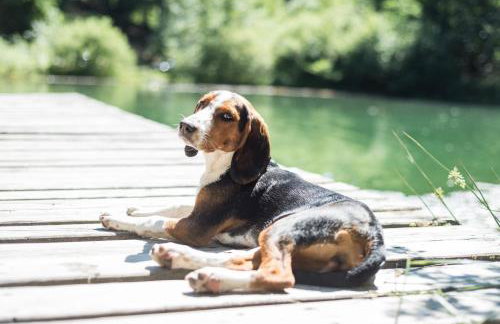 Haus Werrastrand - Foto 7