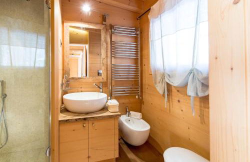 Awakening in the Dolomites between Pelmo and Antelao - Foto 22