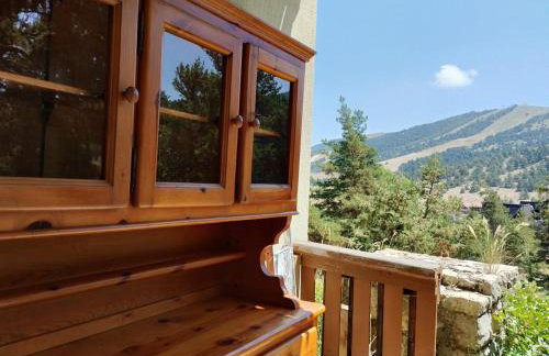 Gréolières les Neiges Studio 4 personnes - Foto 8