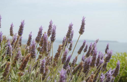 Maria Rooms - Foto 10