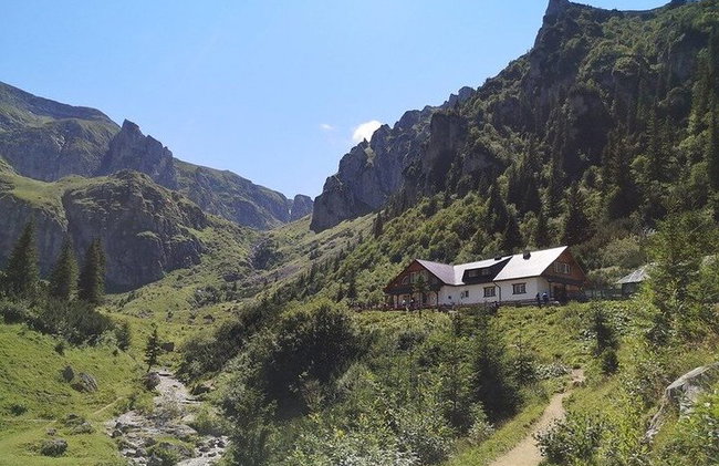 PRIVATE, EASY Day Hike in Carpathian Mountains - Photo 7