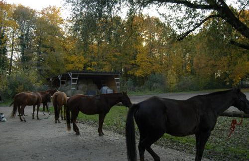 Gästehaus am Landgut - Foto 44