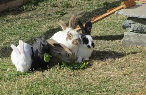 Apartment Lo Retsignon - Foto 24