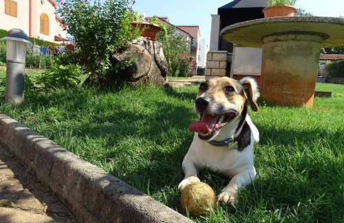 Olga Apartment Near the Beach - Foto 39