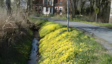 Ferienhof Schülp - Foto 2