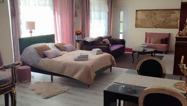 Gite Luxury à Soultzeren - Foto 3